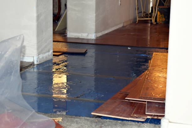 Professional Basement Water Removal technician working in Oilton, OK